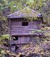 Родник, святой источник Трифона Вятского Родник, святой источник Трифона Вятского