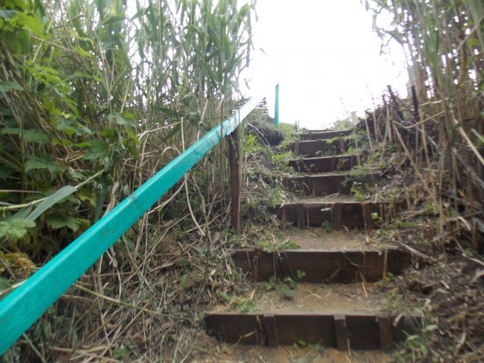 Родник, святой источник иконы Божией Матери Спорительница хлебов хутор Турецкий Родник, святой источник иконы Божией Матери Спорительница хлебов хутор Турецкий