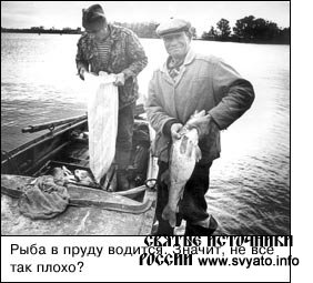 ����� ������, ������ ������...