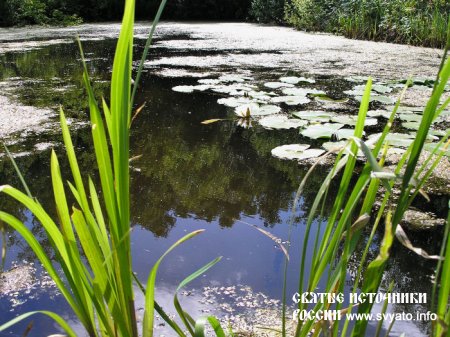 ������ �������