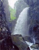 ������� ������