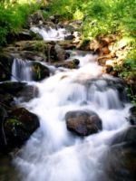 ������� ���� ��������