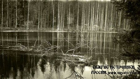 ���� ����������