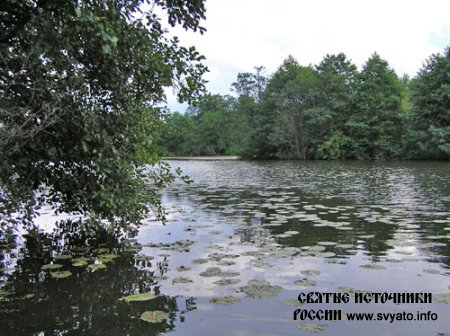 ����� ������� ������