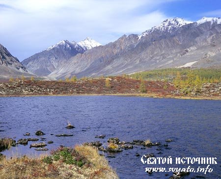 ������ ������� ������������ ������