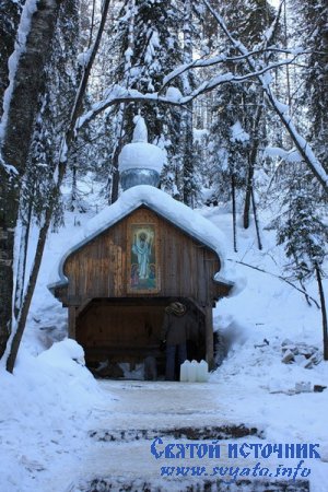 ������, ������ �������� ����������� ��������