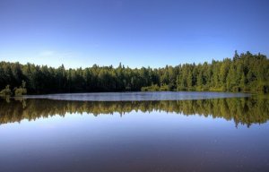 �������, ����, ���� � ����� ���������� ������