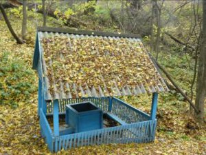 Родник Журавлик село Ольшанка Родник Журавлик село Ольшанка
