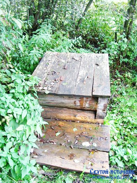 ������ ���� ����������