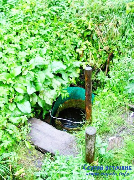 ������ ���� �����