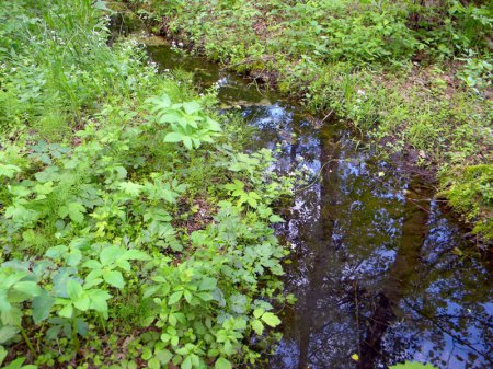 ������, ������ �������� ������� ���������� �� ���� �������, ���� ��������