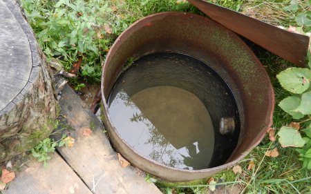 ������ ���� ���������