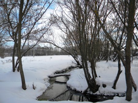 ������ ��������, ������ ����������� ���� �������