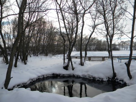 ������ ��������, ������ ����������� ���� �������