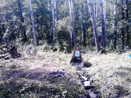 ������ � ���� ������� �����