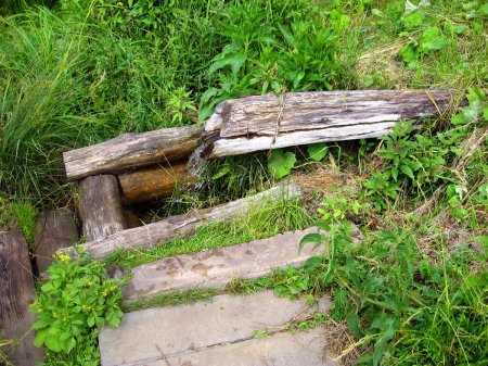 ������ ��������, ������ ������� ������� ����