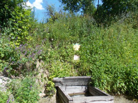 ������, ������ �������� ������������ ��������� ���������� ���� ������� �����