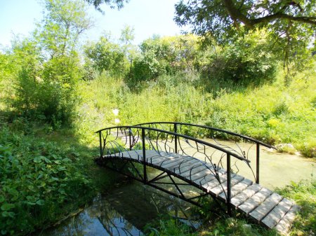 ������, ������ �������� ������������ ��������� ���������� ���� ������� �����