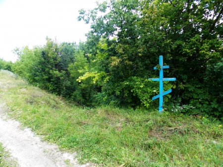 ������, ������ �������� ��������� ��������� ������������ ���� ����������