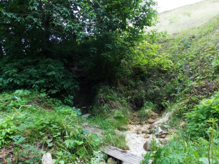 ������, ������ �������� ��������� ��������� ������������ ���� ����������