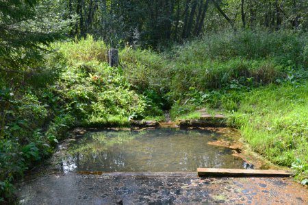 ������, ������ �������� ������� ������ ��������, ���������� �������� � ������� �������