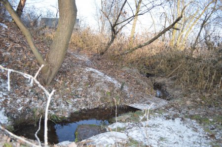 ������, ������ �������� � ����� �������� �������� (�����������) ���� �����������