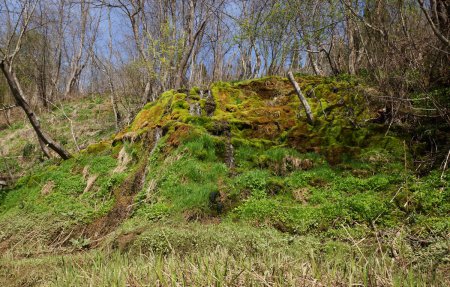 �������, �����, ��������, ���� ������ ����� ��������� ���������� � ���������