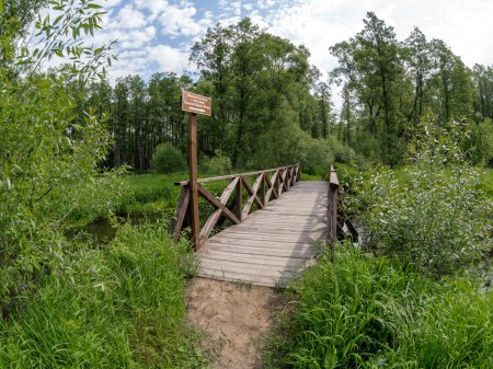 ����������� ������, ������ �������� ��������� ����� ������ ������ � ������� �������