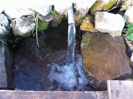 ������, ������ �������� ������������ ������� ���� ���������