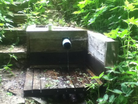 ������ � ���� ������