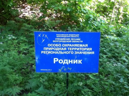 ������ ��������� ���� ��������