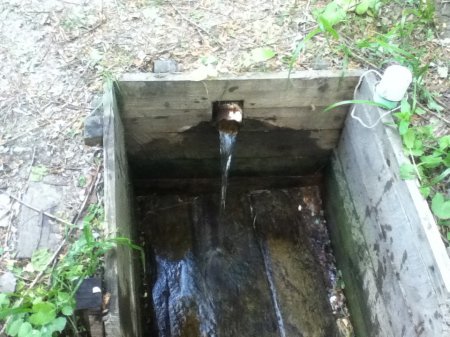 ������ ��������� ���� ��������