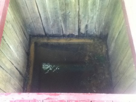 ������ ��������� ���� ��������