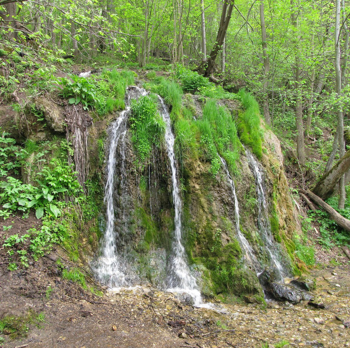 Родник, источник, водопад Радужный у деревни Папино