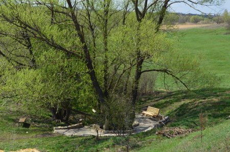 ������, ������ �������� ����� ������ ������ ��������� ���� ��������