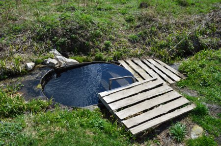 ������, ������ �������� ����� ������ ������ ��������� ���� ��������