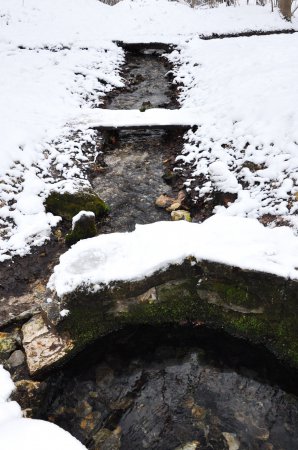 ������, ������ �������� ��������� ����� ������