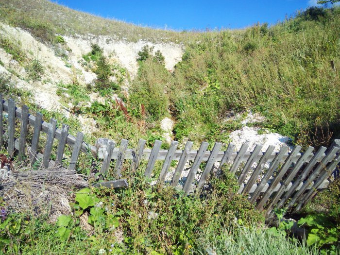 ������, ������ �������� � ���� ���������