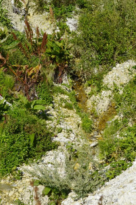 ������, ������ �������� � ���� ���������