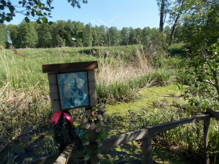 Родник, святой источник святителя Николая Чудотворца село Нижний Икорец Родник, святой источник святителя Николая Чудотворца село Нижний Икорец