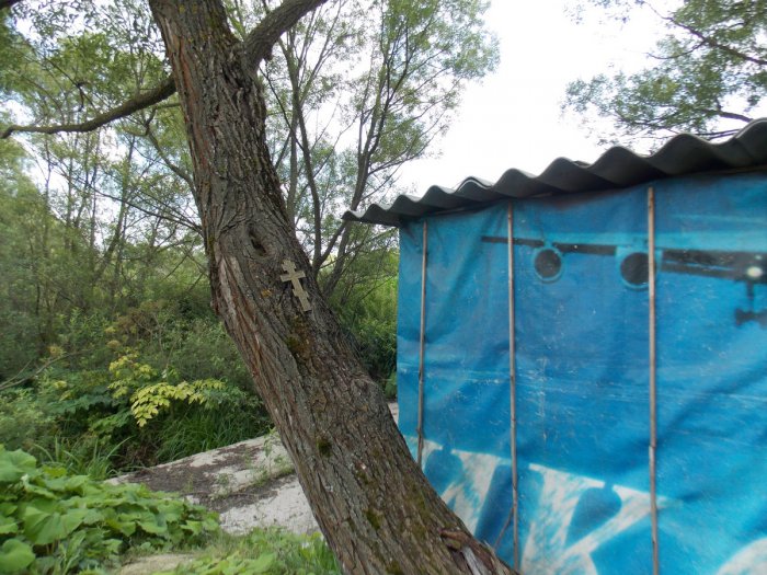 ������, ������ �������� �� ��� ������ ������ ������������� ���� �������