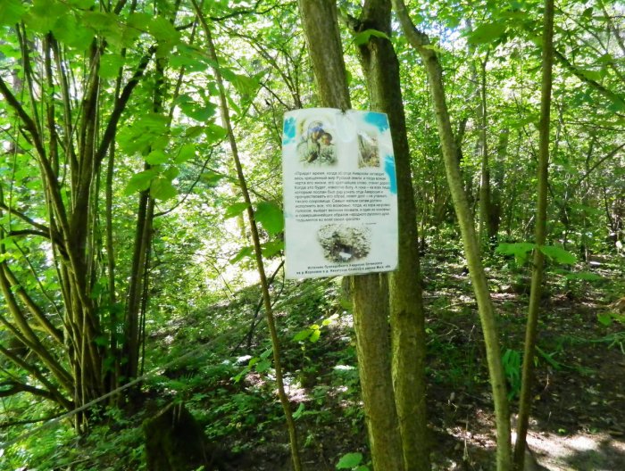 ������, ������ �������� ������������ �������� ���������� ������� ���������