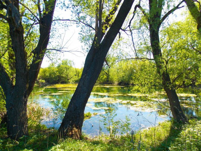 ���������� ������ ����� ���� ������� �����