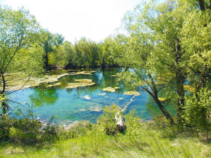 ���������� ������ ����� ���� ������� �����