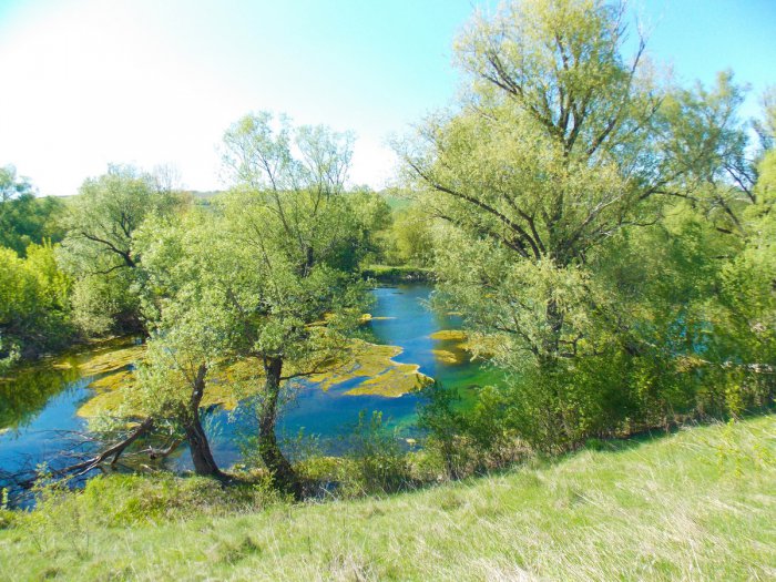 ���������� ������ ����� ���� ������� �����