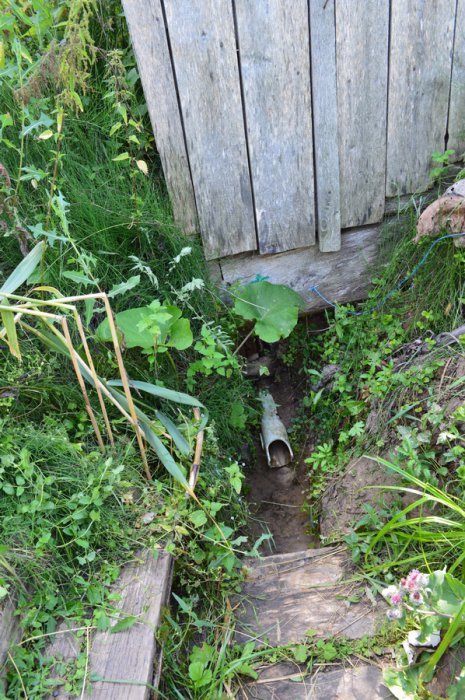 ������ ���� �������