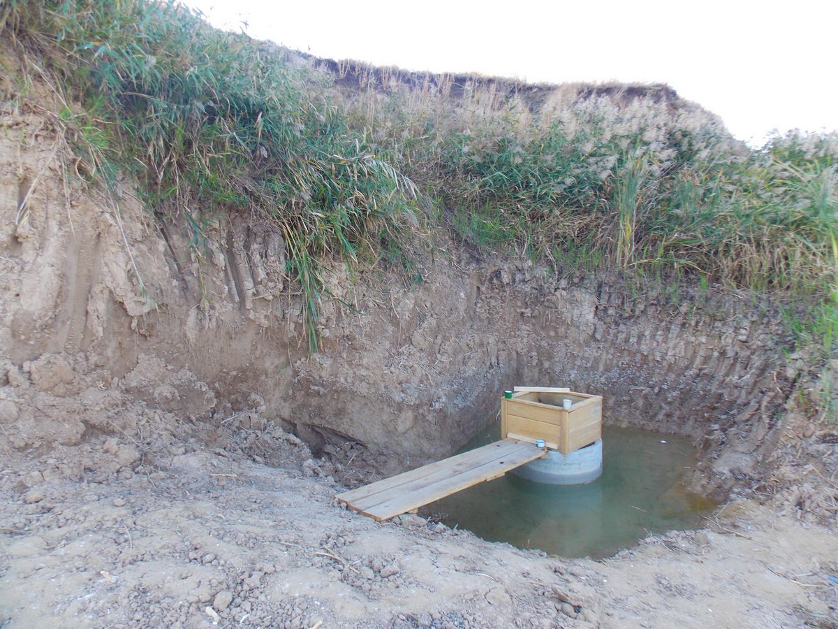 ������, ������ �������� ��������� �������, ����������, ������������ ��� ��������� ���� ��������