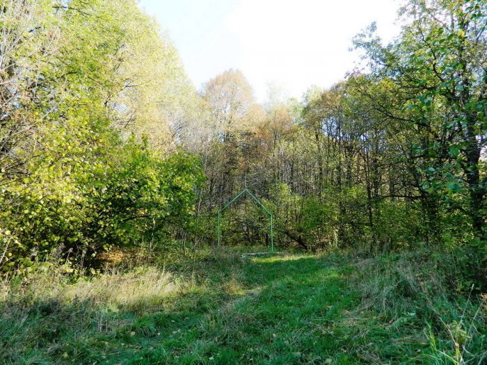 ������, ������ �������� ����� ������ ������ ���� ��������� ������� ���� �������