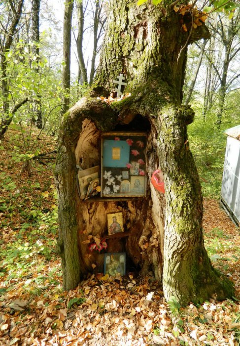 ������, ������ �������� ����� ������ ������ ���� ��������� ������� ���� �������