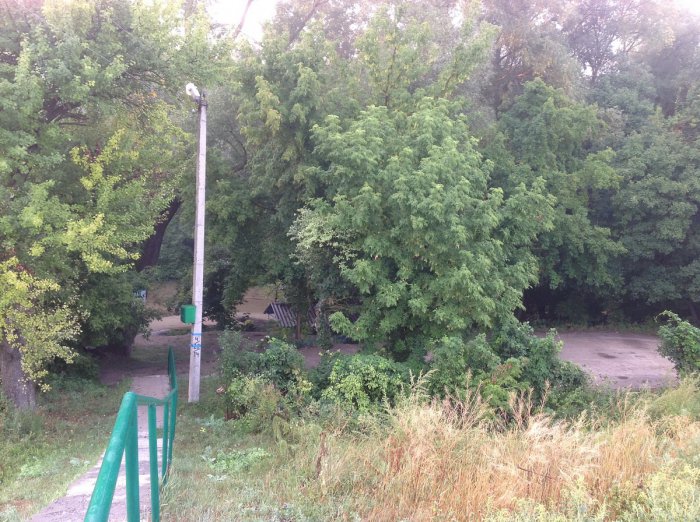 ������ ������������� ����� ������������